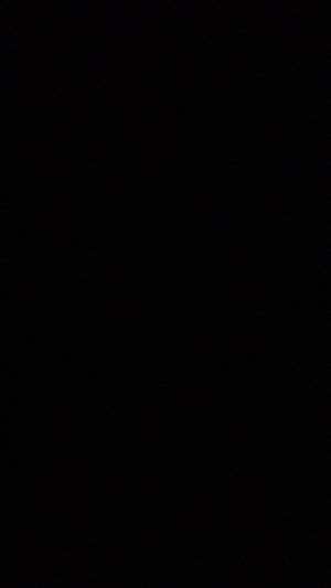 Blank black image with no visible content or person.