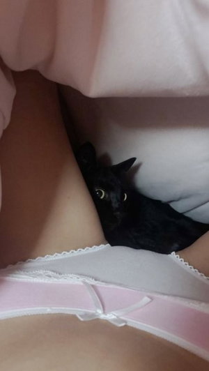 Woman in pink lace underwear with black cat between legs, indoor setting.