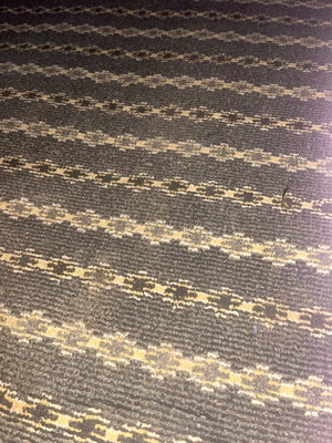 Close-up of striped patterned carpet in dark tones.