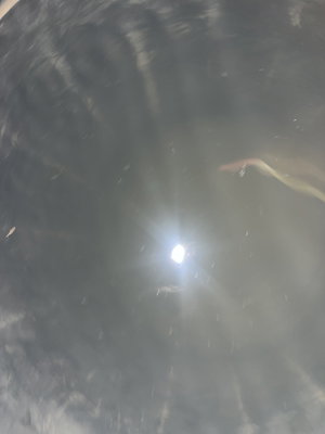 Blurry dark scene with bright central light and droplets.