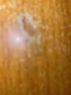 Blurred orange textured surface with light reflection.