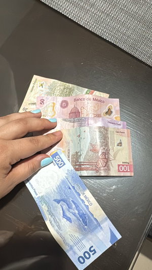 Hand with blue nails holding Mexican pesos on table.