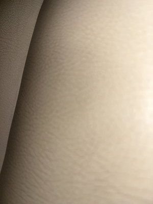 Close-up of textured white surface.