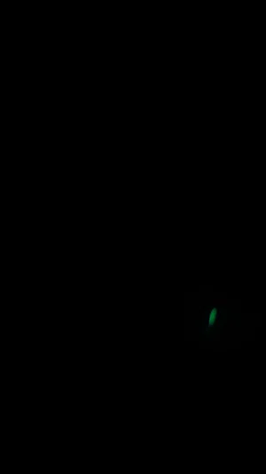 Dark image with a small green light, no person visible.
