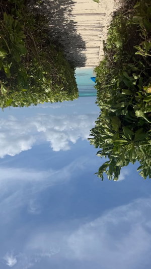 Path through greenery leading to turquoise water under blue sky.