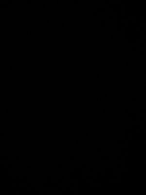 Blank black image with no visible content or person.