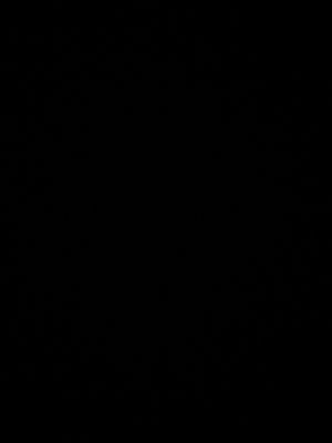 Blank black image with no visible content or person.